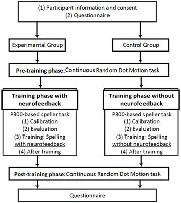 A P300-Based Brain-Computer Interface for Improving Attention